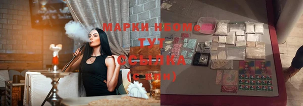 сатива Куйбышев