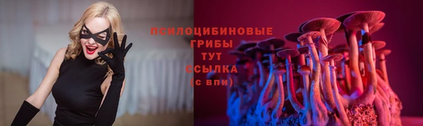 сатива Куйбышев