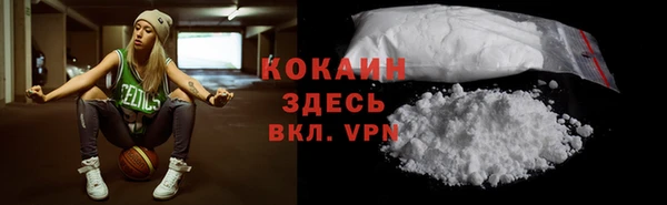 твердый Кулебаки