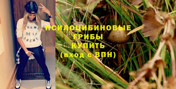 сатива Куйбышев