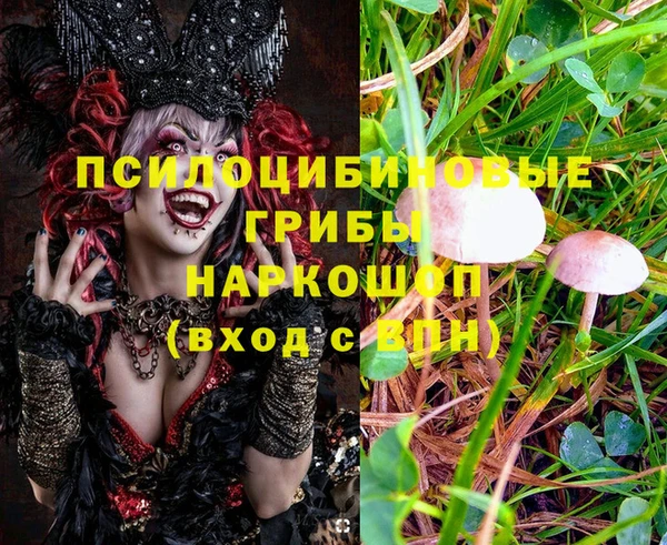 сатива Куйбышев