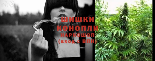 твердый Кулебаки