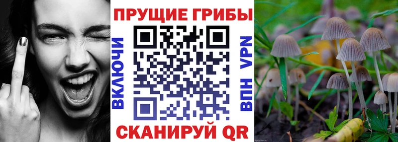 Псилоцибиновые грибы ЛСД  Купить  Углегорск 